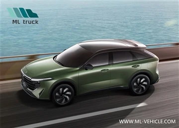 DongFeng Venucia DA V DD-i 사전 판매 시작