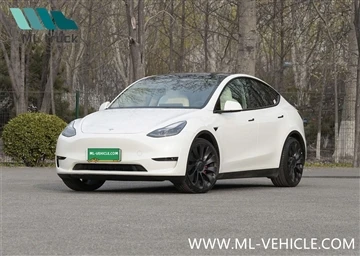 Tesla Model Y, 북미에서 두 번째로 잘 팔리는 모델이 됨
