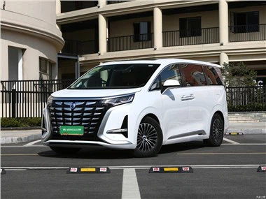 2023 BYD Denza D9 TengShi D9