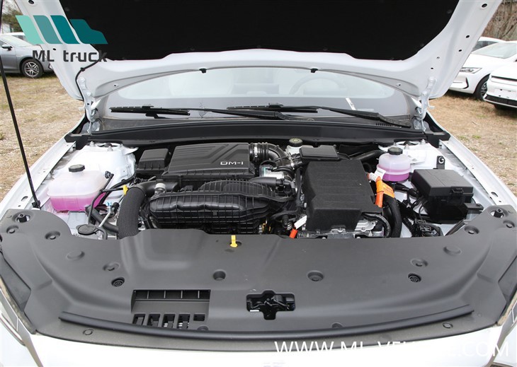 2024 BYD Qin Plus DMi Honor Edition