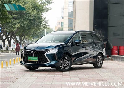 2024 DongFeng Forthing 1.5T DCT 요트 MPV