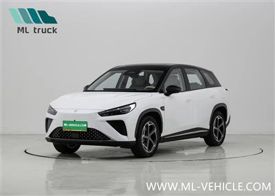 2024 NETA L 리브 SUV